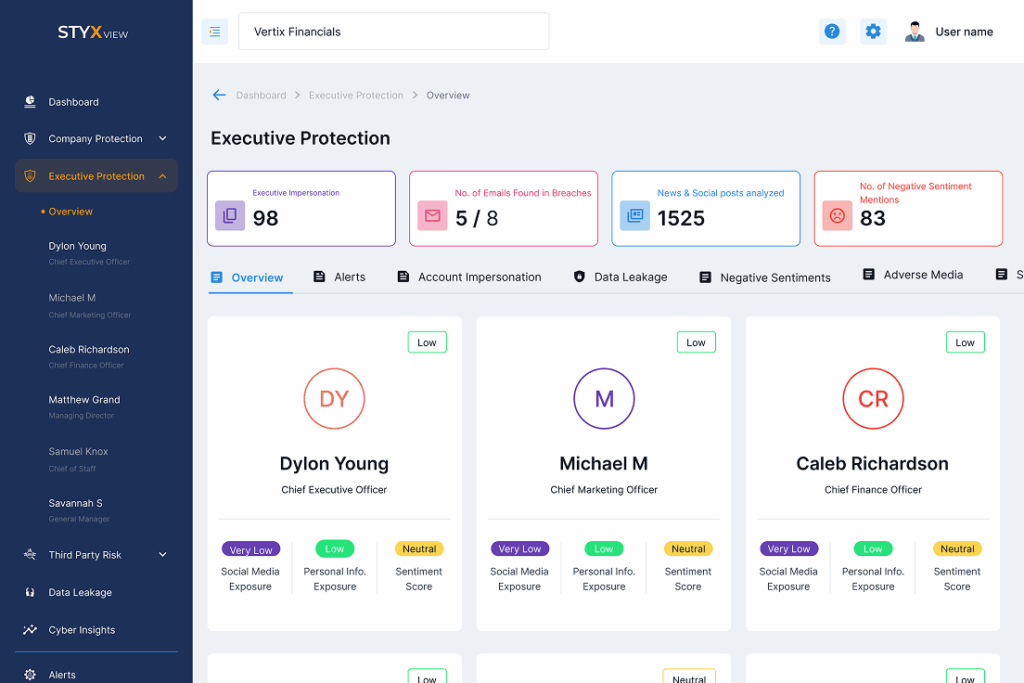 Executive protection — examples